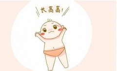 611山东emc易倍身高体重秤厂家解读什么样的身高最合适？